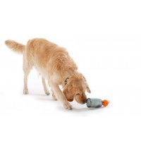 Aktivering & stimulering til hunden