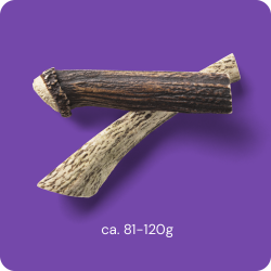 RAUH! Hjortegevir - overskåret