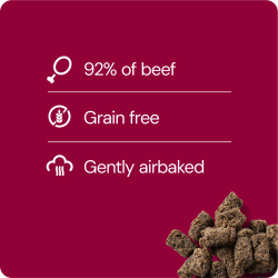 RAUH! Frysetørrede kødboller - produceret i Finland