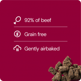 RAUH! Frysetørrede kødboller - produceret i Finland