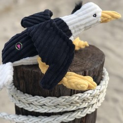 Hugglehound Seaver Seagull