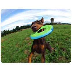 Chuckit zipflight medium