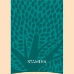 Essential Stamina  